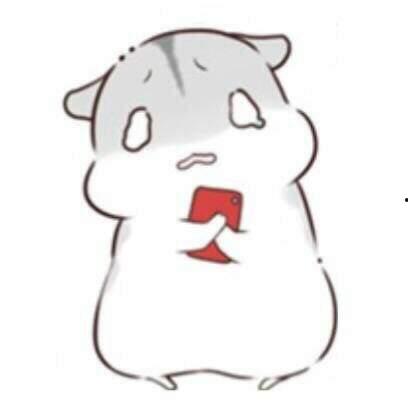 仓鼠吃瓜表情包,仓鼠吃瓜表情包的欢乐瞬间