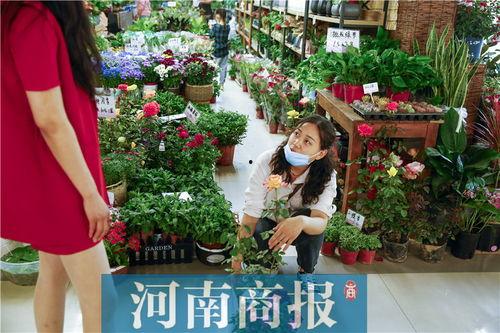 吃瓜网花店老板,揭秘花店背后的温馨故事