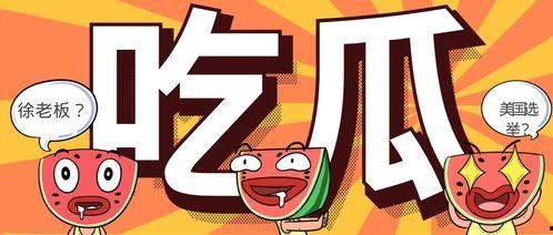 吃瓜大选,揭秘选举背后的热点与焦点