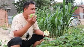 老张吃瓜完整版