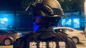 吃瓜vlog片头,揭秘娱乐圈幕后故事，带你领略明星真实生活