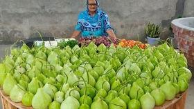 吃蛇瓜爱胖人吗