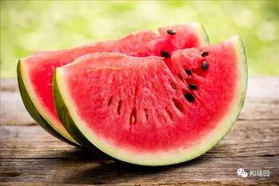 5打2吃瓜,揭秘娱乐圈幕后风云