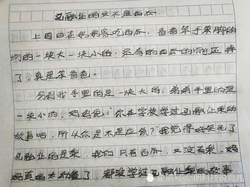 莫让吃瓜变吃人作文,网络舆论的边界与责任