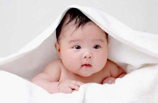 吃瓜的亮宝宝,揭秘娱乐圈那些事儿