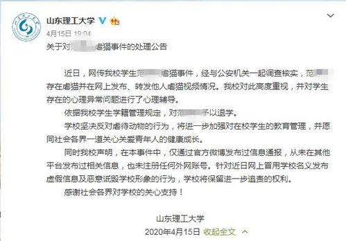 吃瓜虐猫,道德争议与人性拷问