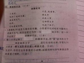 小老鼠吃瓜三年级作文,小老鼠的夏日瓜果盛宴