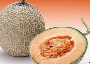 胰腺炎可不可以吃哈密瓜,哈密瓜的食用指南