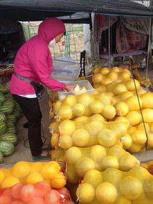 甘肃吃瓜的视频,一场视觉与味蕾的双重盛宴