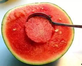 幼雪酱吃瓜,揭秘娱乐圈那些不为人知的幕后故事