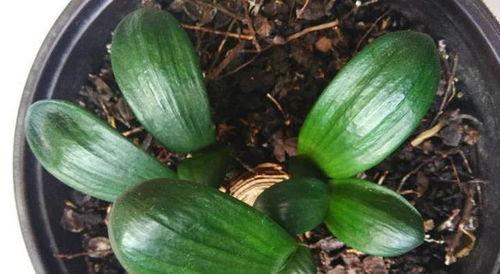 七零后娘养崽吃瓜,新时代下的育儿观与吃瓜文化碰撞