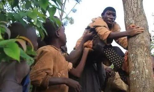 女子吃瓜返祖现场,穿越时空的奇妙体验