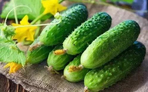 春吃夏瓜的功效,夏瓜润燥——夏季养生之道