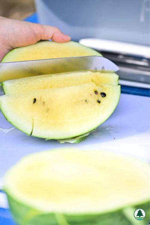 贴吧吃的瓜,那些让人垂涎欲滴的美食瓜