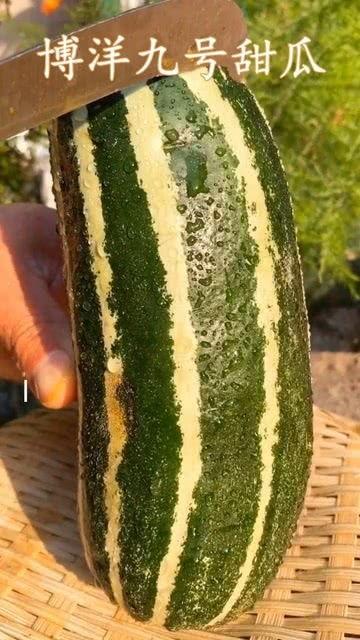 吃瓜那个瓜是什么瓜,探寻网络流行语的奥秘