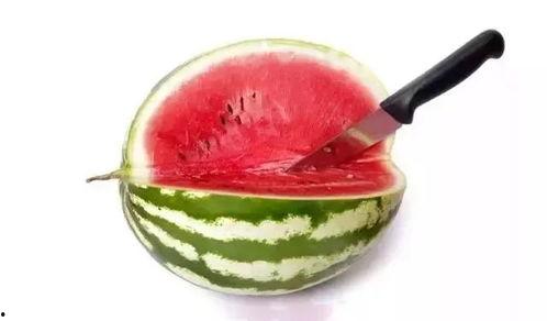 吃瓜属于哪个赛道,社交娱乐赛道的新宠儿