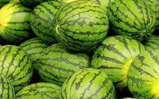 专业吃瓜围观大师,专业吃瓜围观大师带你领略幕后风云